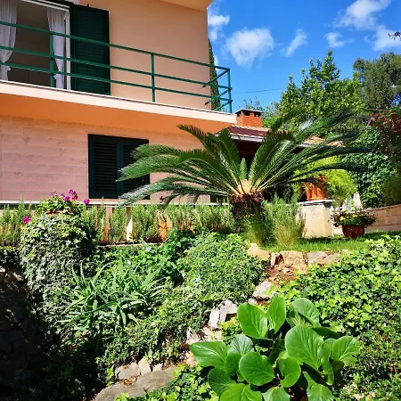 Coko Apartment